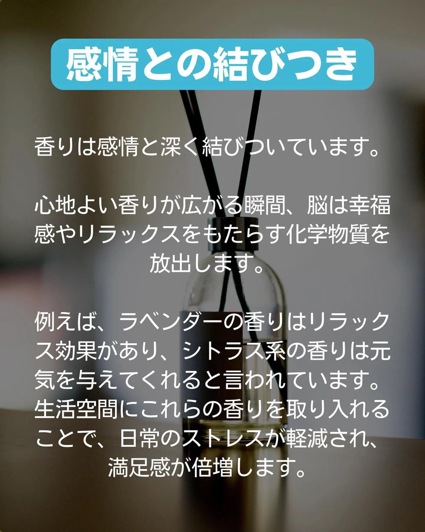 ＼香りが満足感を高める理由ご存じですか？✨／